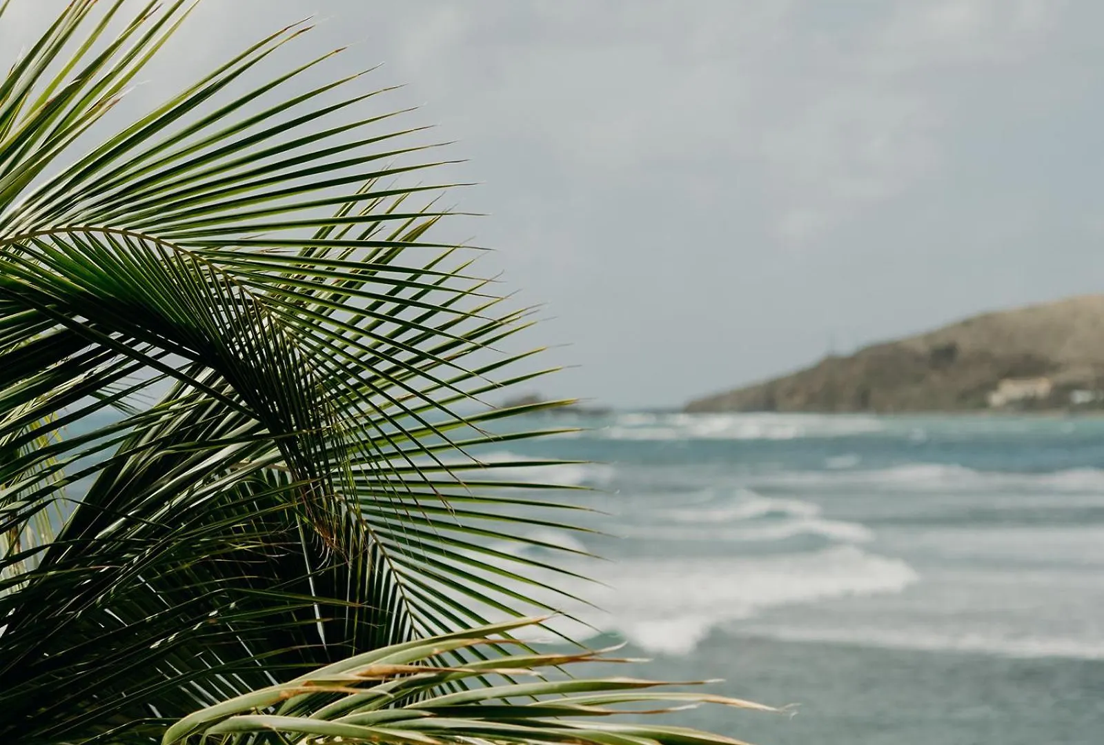 Grapetree Bay Hotel And Villas Christiansted